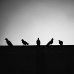 ehsan-eslami-ewwg9mmzpKk-unsplash