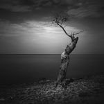 ready-rey-zTNBumJSOto-unsplash