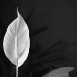 rodrigo-foggiato-vH0T30hs2eM-unsplash